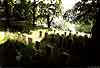 Widok og�lny cmentarza.Lato 2003.