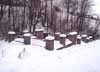 Widok og�lny cmentarza. Zima 2001/2