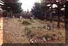 Og�lny widok cmentarza na pocz�tku remontu w jesieni 2002