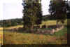 Widok og�lny cmentarza. Lato 2001 r.